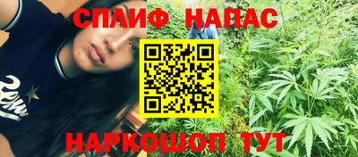 сатива Сланцы
