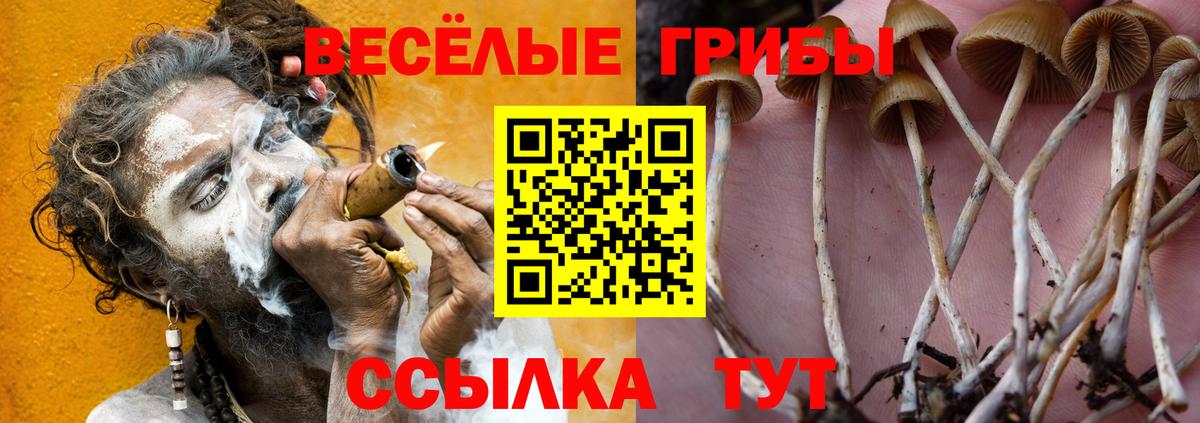 Нефтеюганск  Псилоцибиновые грибы Psilocybe  Вход с VPN 